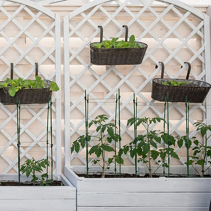 Gardzen Multi-use Tomato Cage Plants Support, Trellis Climbing Cage Stand for Pepper Eggplant Tomato Flowers