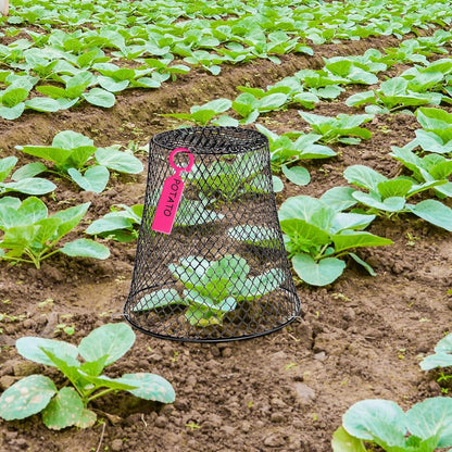 10 Pcs 11inch Chicken Wire Plant Covers,Green Wire Garden Cloches Chicken Wire Cloche Plant Protector Metal Heavy Duty Garden Plant Cloche for Keeping Bunnies Chicken Squirrels Birds Other Out