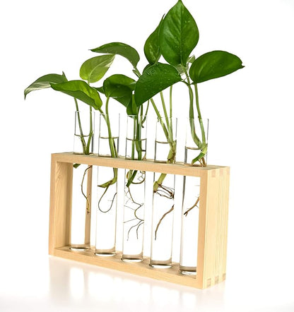 Wooden Propagation Station with 5 Glass Test Tubes, Tabletop Glass Terrarium Holder for Plant Cuttings Hydroponics, Home Office Desk Decor Gift for Women Mom Plant Lovers, Beige