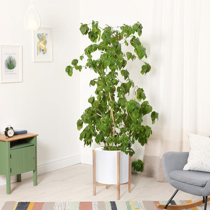 D'vine Dev Planter Pot with Stand - 14 Inch Plastic Cylinder Flower Pot with Wood Planter Holder for Indoor, Matte White Pot + Natural Stand, 55-C-S-1