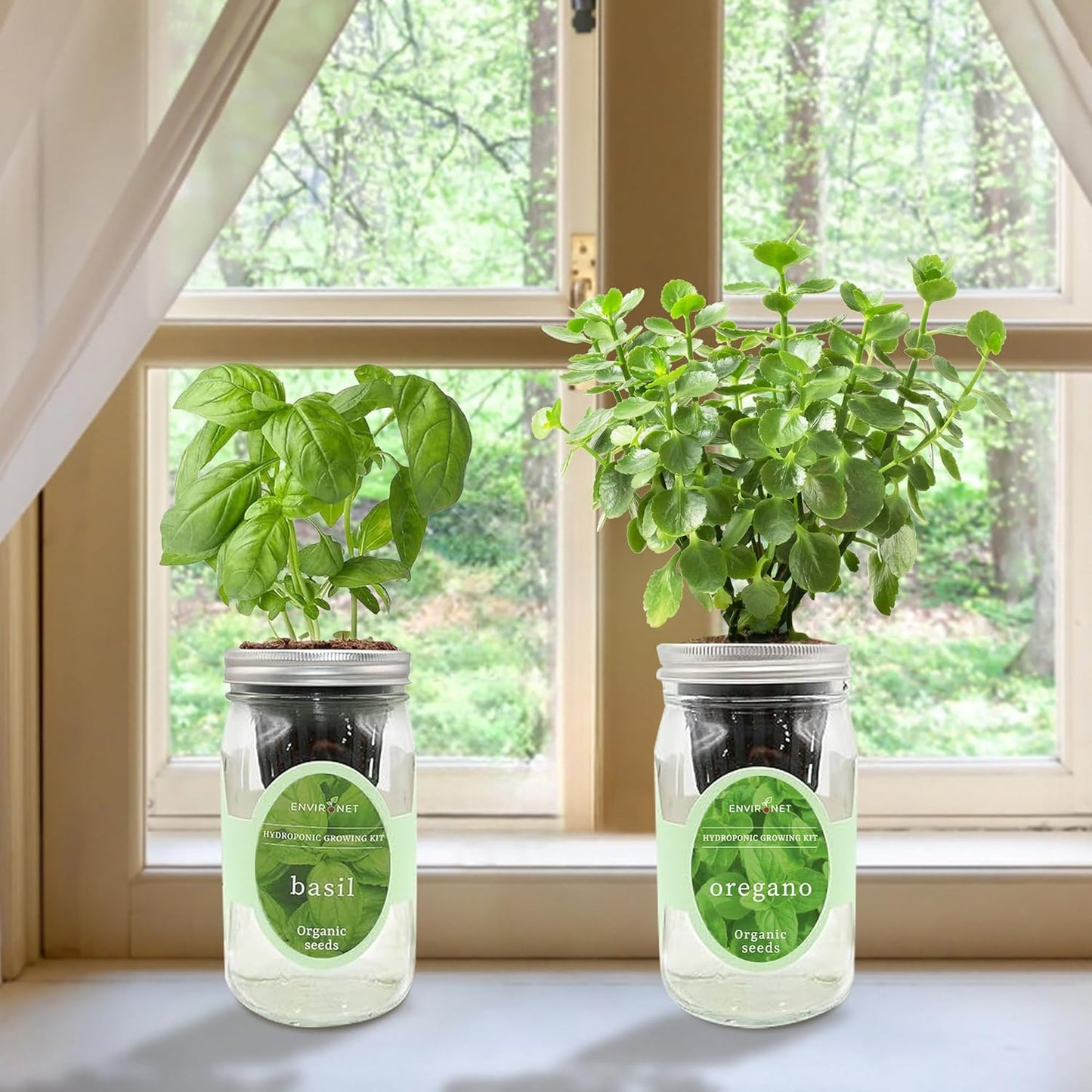 2-Pack Hydroponic Mason Jar Herb Garden Kit, Indoor Herb Garden Self-Watering Starter Kit (Basil,Oregano)