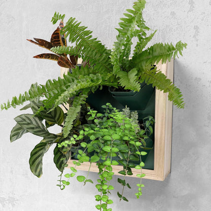 Vertical Wall Planter, 4 Pots Self Watering Living Planters Indoor, Wooden Frame Planter Wall Decoration Home Office (No Screw)