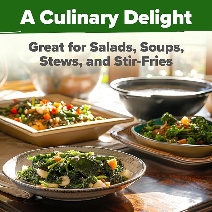 HOME GROWN 𝗨𝗦𝗔 𝗣𝗥𝗘𝗠𝗜𝗨𝗠 Collard Green Seeds - 300 Seeds for Fall Planting - High Germination 𝗡𝗢𝗡-𝗚𝗠𝗢 Heirloom Vegetable Seeds, Vates Collard Greens Seed Pack (Brassica oleracea)