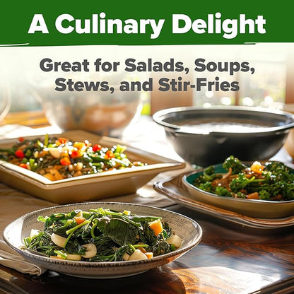 HOME GROWN 𝗨𝗦𝗔 𝗣𝗥𝗘𝗠𝗜𝗨𝗠 Collard Green Seeds - 300 Seeds for Fall Planting - High Germination 𝗡𝗢𝗡-𝗚𝗠𝗢 Heirloom Vegetable Seeds, Vates Collard Greens Seed Pack (Brassica oleracea)