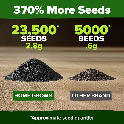 HOME GROWN 23,500+ Moss Rose Seeds (Bulk Pack) Annual Flower for Ground Cover - Heirloom 𝗡𝗢𝗡-𝗚𝗠𝗢 Portulaca Seeds for Planting Outdoors - Great for Low-Maintenance Gardens (Portulaca grandiflora)