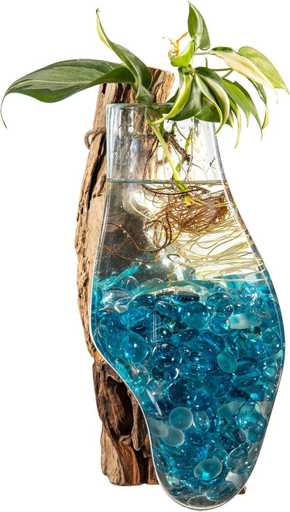 Cape Craftsmen Wall Mounted Molten Glass Hanging Terrarium on Driftwood, Indoor Wall Planter Vase on Wood, Propagation Station for Hydroponics Plants, Succulent Pot
