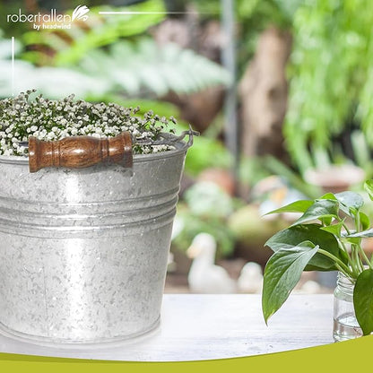 Headwind Vintage Collection - 6 Inch Galvanized Banded Planter with Handles – Galvanized Bucket Planter - Decorative Small Planters for Indoor Plants & Outdoor Use by Robert Allen
