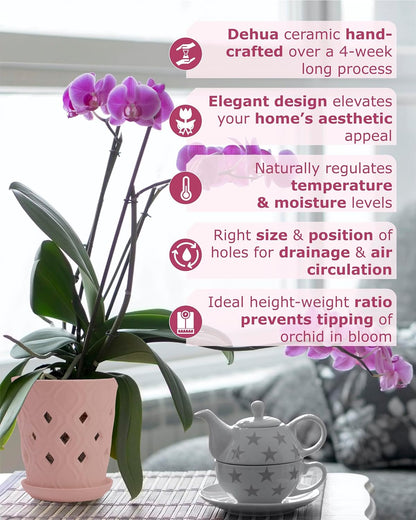 Whispering Winds Ceramic 5 x 6 Inch Orchid Pot with Holes & Saucer for Aeration and Drainage - Decorative Orchid Pots for Repotting, Prevent Over Watering & Root Rot (Cavern Pink)