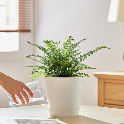 FaithLand 2-Pack 8 Inch Planter Pots for Indoor Outdoor Plants, Self Watering Flower Pots with Deep Reservoir, White …