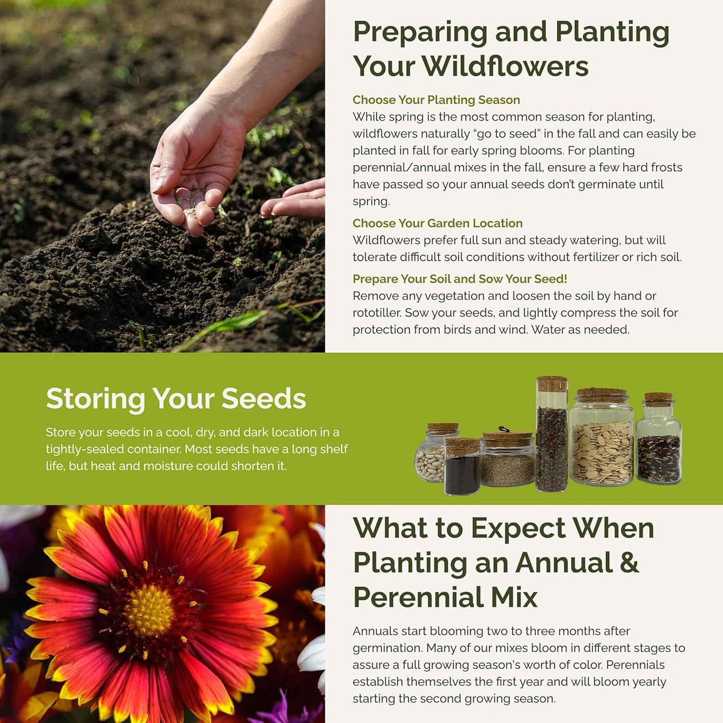 Eden Brothers Dry Area Wildflower Mixed Seeds for Planting, 5 lb, 2,400,000+ Seeds with Cosmos, African Daisy, Blue Flax | Attracts Pollinators, Plant in Spring or Fall, Zones 3, 4, 5, 6, 7, 8, 9, 10