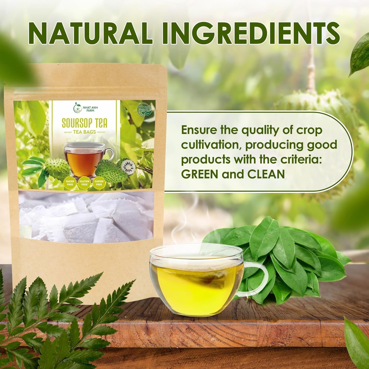 NHAT ANH FARM - Soursop Leaf Tea 100 Bags â€“ Herbal Loose Leaf in Tea Bags - Sugar/Caffeine/Gluten Free. Supports Cardiovascular & Immune Health.