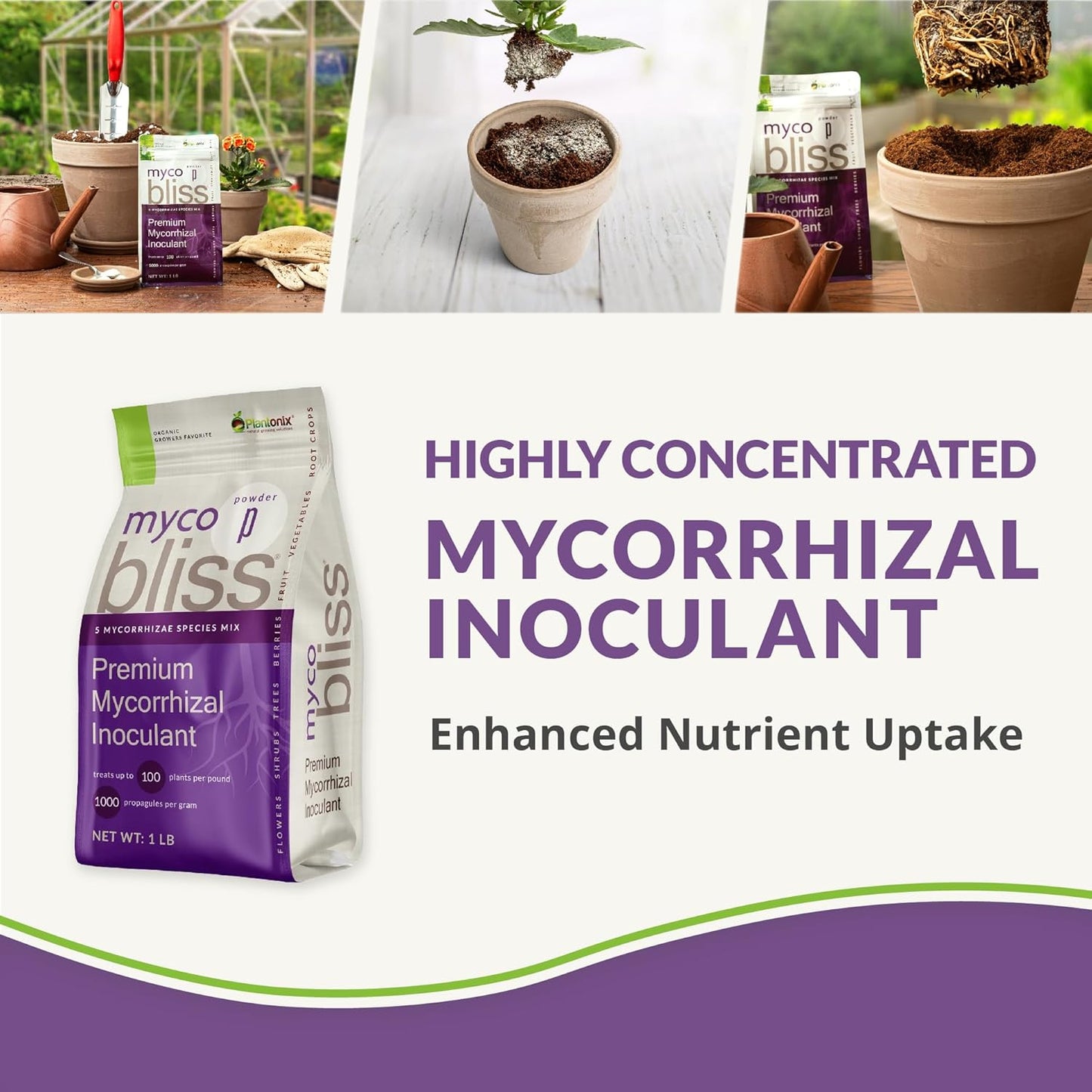 Myco Bliss Granular (2lbs) - Mycorrhizal Fungi for Plants - 5 Strain Mycorrhizal Inoculant with 1000 Propagules Per Gram - Highly Concentrated Mycorrhizae for Plants, Potting Soil, & Garden Soil