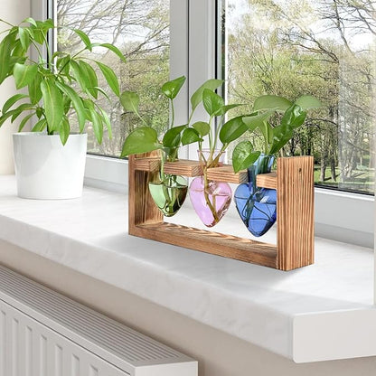 Plant Terrarium Propagation Stations Hydroponics Home Garden Decoration Gift for Women with Wooden Stand Heart Shaped Colored Glass Vase