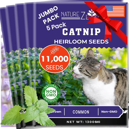 NatureZ Edge Catnip Seeds for Planting, 6.5 Grams, 11,000+ Herb Seeds, Indoor or Outdoor Growing, Your Cat Will Love Them, Non-GMO