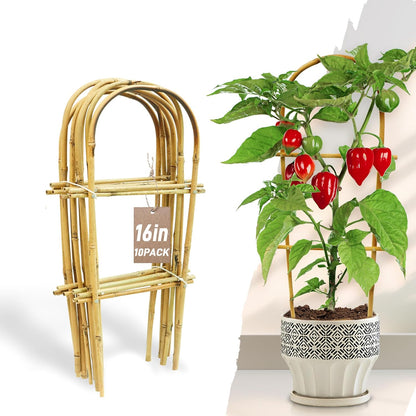 Avalution 10 Pack Bamboo U Trellis for Climbing Plants, 16 Inch Garden Ladder Trellis for Potted Plants Indoor, Ladder Small Plant Support Trellis for Houseplants Ivy Hoya Vine Monstera
