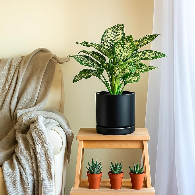 D'vine Dev Set of 2 Plants Pots, 8.2 Inch Ceramic Planter Pot for Plants with Drainage Hole and Saucer, Black, 94-V-D-2