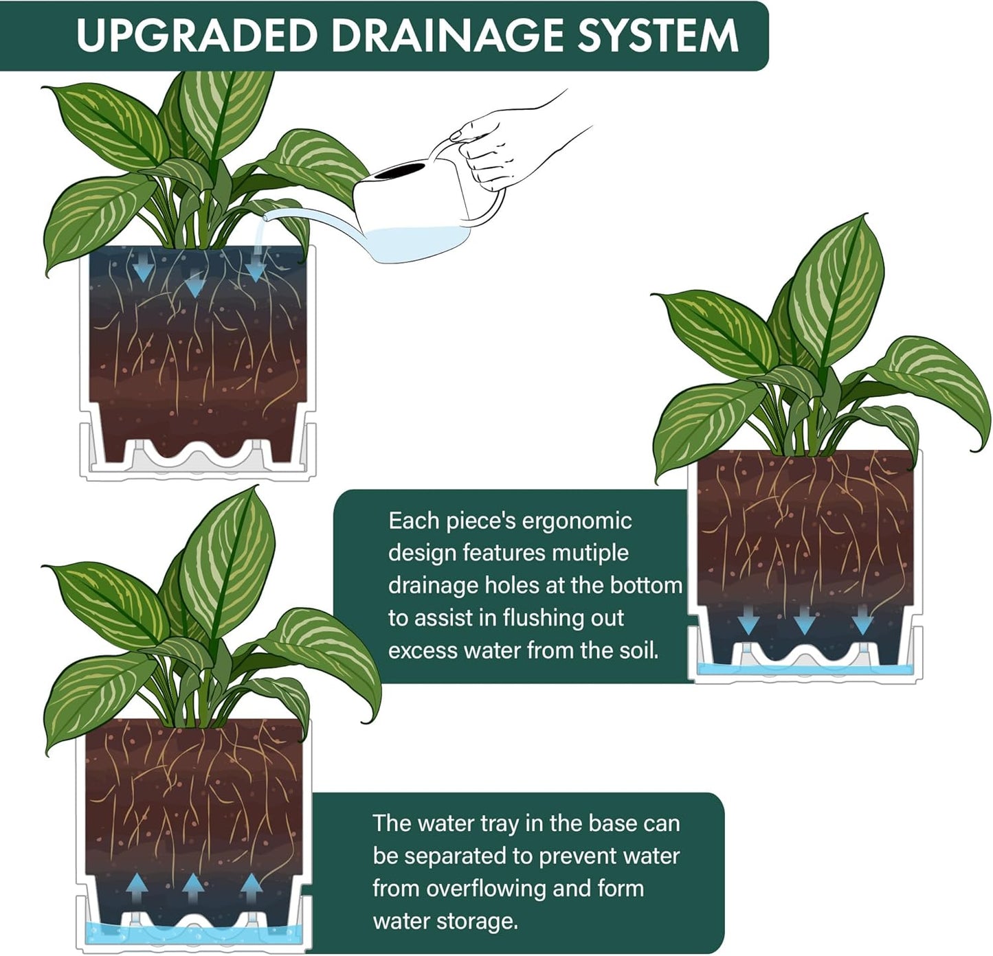 Phoenix Vine 8 Inch Planter Pot with Drainage Hole & Saucer, Deep Water Catch Tray, Straight Cylindrical Round Pot for Plants, Matte White, Pack of 1, 23-B-T-1