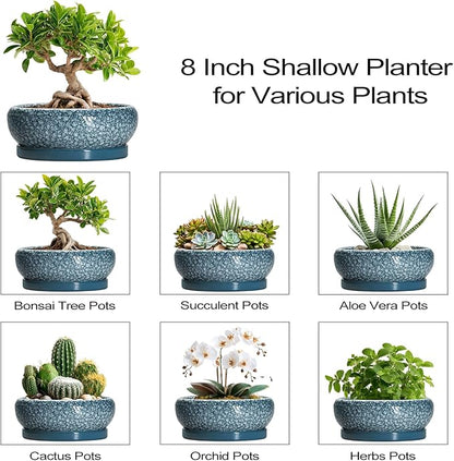 Ceramic Bonsai Pots - 8 Inch Succulent Planters Indoor Outdoor, Bonsai Planters with Drainage Hole and Saucer, Shallow Planter, Round Planter Bowl, Home Decor, Gifts for Plant Lovers, Blue