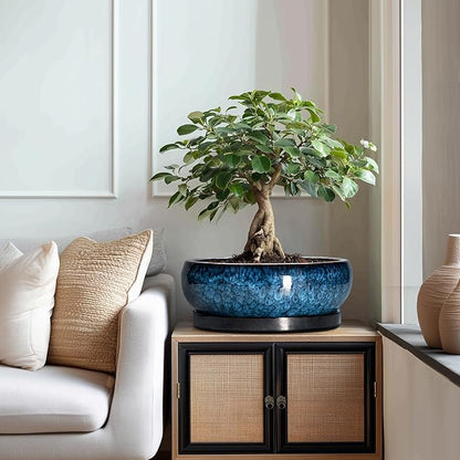 Bonsai Pots - 13 Inch Ceramic Succulent Pots for Indoor Outdoor, Large Succulent Planter with Drainage Hole and Saucer, Round Shallow Flower Planters, Porch Decor, Gardening Gifts, Blue