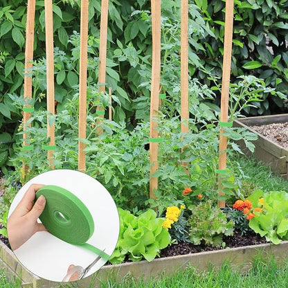 5 Rolls 165 Ft Green Plant Tape for Climbing Plants, 1/2 Inch Reusable Plant Stretch Ties, Adjustable Tomato Plant Supports, Plant Twist Ties for Gardening, Home, Office