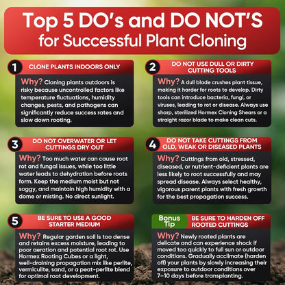 Hormex Rooting Cubes - Peat Moss & Coco Plugs for Cloning Plants from Cuttings and Seed Starting - Organic Plant Starter for Strong Root Growth - Ideal for Home, Indoor and Outdoor Gardening - 50 Pack