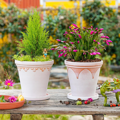 Sungmor Terra Cotta Pot Set - 3 Unique Embossed Clay Planters with Saucer & Drainage, 8 Inch Large & Deep, Pretty Color, Ideal for Orchid, Cactus, Succulent