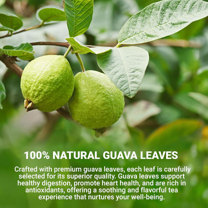 LeafLea Guava Leaf Tea, 80 Fresh-Sealed Tea Bags, Herbal Tea Made from Natural Guava Leaves (Hojas de Guayaba), Digestive Support & Immune Balance, Caffeine-Free, Sugar-Free, Pack of 2