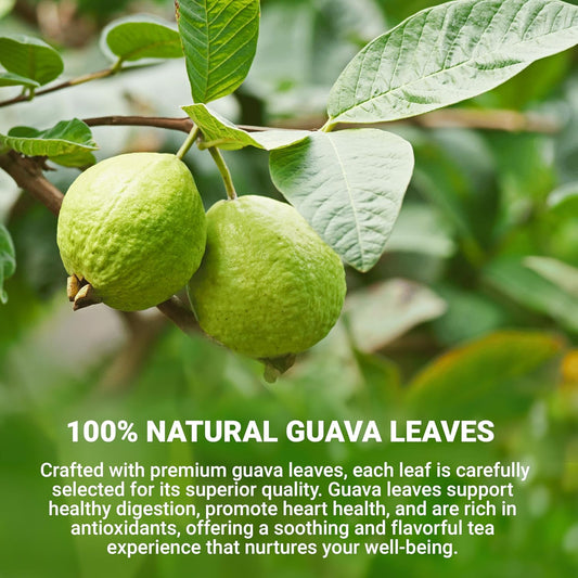 LeafLea Guava Leaf Tea, 80 Fresh-Sealed Tea Bags, Herbal Tea Made from Natural Guava Leaves (Hojas de Guayaba), Digestive Support & Immune Balance, Caffeine-Free, Sugar-Free, Pack of 2