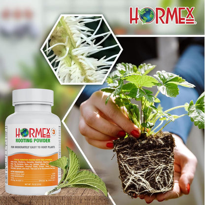 Hormex Rooting Powder #3 & Rooting Cubes Combo - Rooting Hormone for Semi-Softwood Cuttings & Organic Peat Moss Coco Plugs - Fast, Healthy Root Growth for Propagation, Hydroponics, & Seed Starting