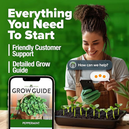 HOME GROWN 𝗨𝗦𝗔 𝗣𝗥𝗘𝗠𝗜𝗨𝗠 Peppermint Seeds Pack – 2,370 𝗡𝗢𝗡-𝗚𝗠𝗢 Heirloom Mint Seeds for Planting. Grow Peppermint Plants in Your Herb Garden Indoors or Outdoors (Mentha x piperita)