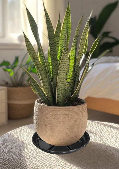 6 Pack of Plant Saucer 6 inch, Heavy Duty Plastic Flower Pot Saucers, Plant Drip Trays for Indoors Outdoor, Plant Water Tray for Planters, Black