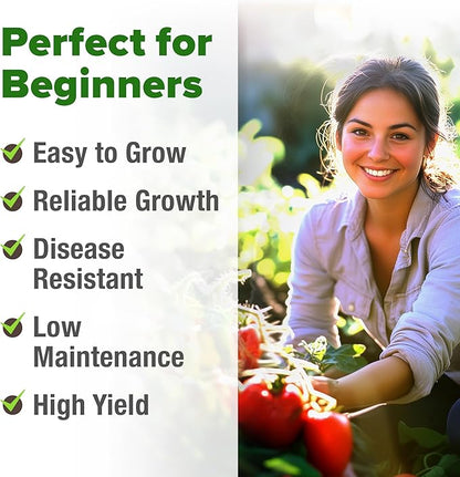 HOME GROWN San Marzano Tomato Seeds – 66 Heirloom, 𝗡𝗢𝗡-𝗚𝗠𝗢, 𝗨𝗦𝗔-𝗦𝗢𝗨𝗥𝗖𝗘𝗗 Seeds – High Germination Tomatoes for Indoor & Outdoor Growing – Classic Paste Variety for Gardeners & Home Use