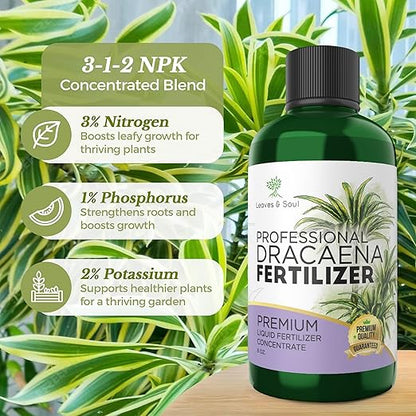 Professional Liquid Dracaena Plant Fertilizer | 3-1-2 Concentrate for Indoor Plants | Multi-Purpose Blend & Gardening Supplies | 8 oz Bottle
