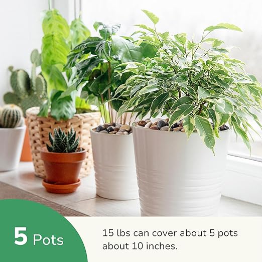 GreatBuddy 15-lb River Rocks, Decorative Rocks for Indoor Plants, 1-1 3/4 Inches Natural Polished Pebbles for Aquarium, Vases, Potted Plants, Garden Landscaping Outdoor, Mixed Color Stones