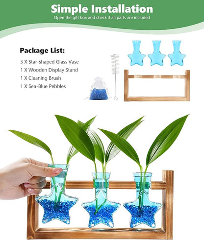 Nacome Star Glass Propagation Stations: Plant Terrarium with Wooden Stand Vase for Home Office Desk Decor, Unique Gifts for Plant Lovers Women Mom (Blue)