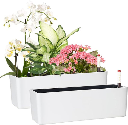 GardenBasix Elongated Self Watering Planter Pots 2-Pack Window Box 5.5 x 16 inch Indoor Home Garden Modern Decorative Planter Pot for All House Plants Flowers Herbs (White,2)