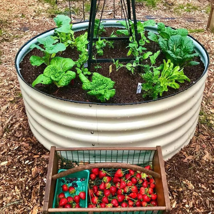 Round Raised Garden Bed Kit, 3.5x3.5x1.4Ft Outdoor Zinc-Aluminum-Magnesium Metal Flower Beds Stainless Steel Patio Ground Planter for Planting Vegetables (Ivory)