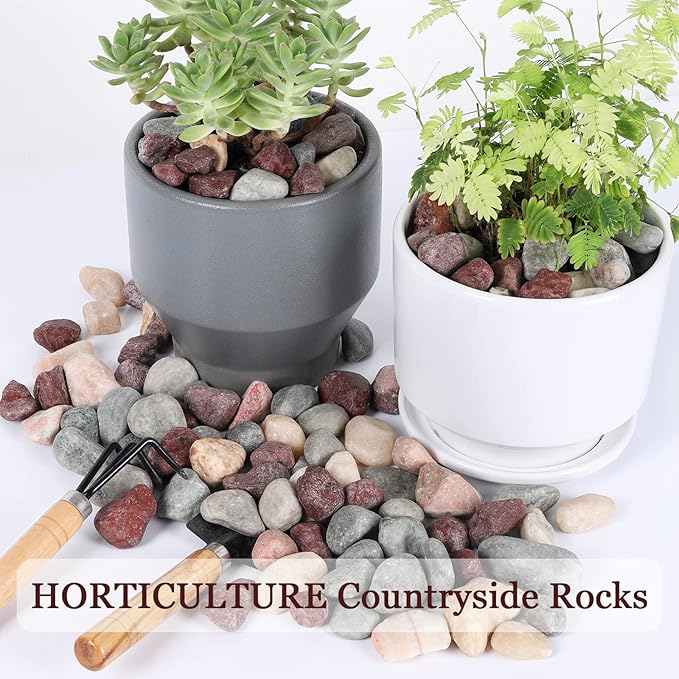 5lbs Natural River Rocks, Polished Pebbles for Plants Garden, 1-2 inch Decorative Countryside Stones, Ideal for Fish Tank, Vases, Crafting, Garden Landscaping Rocks,Countryside