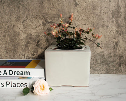 Ceramic African Violet Self Watering Pot 6 Inch Square Pot 3.5 Inch Innter Pot Easy Fill Water Reservoir White