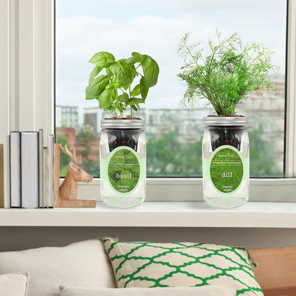 2-Pack Hydroponic Mason Jar Herb Garden Kit, Indoor Herb Garden Self-Watering Starter Kit (Basil,Dill)