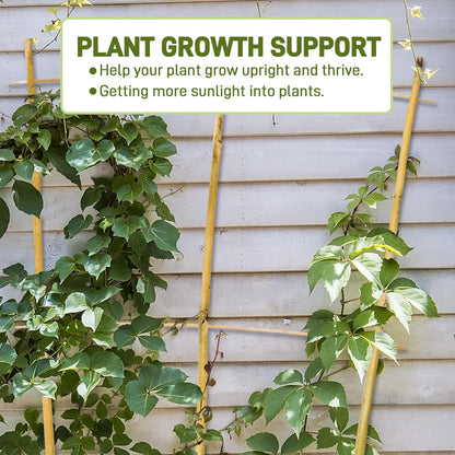 Avalution 10 Pack Bamboo Trellis for Climbing Plants, 2 FT Garden Ladder Trellis for Potted Plants Indoor, Fan-Shaped Small Plant Support Trellis for Houseplants Ivy Hoya Vine Monstera