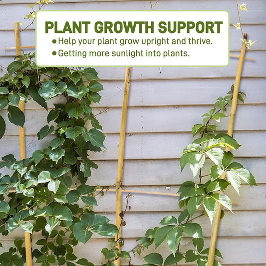 Avalution 10 Pack Bamboo Trellis for Climbing Plants, 2 FT Garden Ladder Trellis for Potted Plants Indoor, Fan-Shaped Small Plant Support Trellis for Houseplants Ivy Hoya Vine Monstera