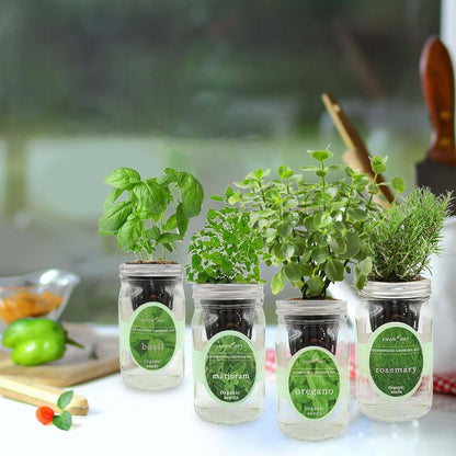 Hydroponic Mason Jar Indoor Garden Organic Seed Starter Kits - Italian Herb Blend Growing Kits, Windowsill Herb Garden, Gardening Gift (Basil, Marjoram, Oregano, Rosemary)