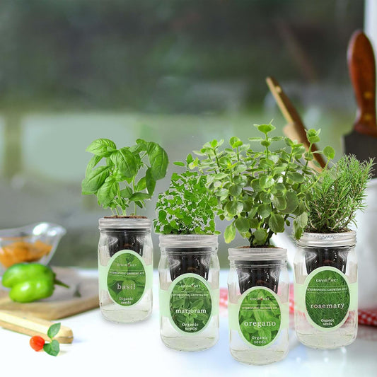 Hydroponic Mason Jar Indoor Garden Organic Seed Starter Kits - Italian Herb Blend Growing Kits, Windowsill Herb Garden, Gardening Gift (Basil, Marjoram, Oregano, Rosemary)