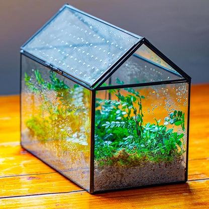 NCYP House Shape Glass Terrarium with Acrylic Lid - 10.2x5.9x8.2 Inches Large Geometric Box for Snails, Ferns, Succulents, Air Plants, Indoor Tabletop Decor, Handmade (Terrarium Only)