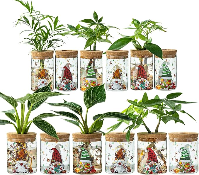 Christmas Vase, Christmas Themed Propagation Stations, Glass Propagation Vases for Plants, Cuttings, Desktop Planter Vase for Home & Office Decor, Set of 12 (6 Large & 6 Small)