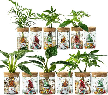 Christmas Vase, Christmas Themed Propagation Stations, Glass Propagation Vases for Plants, Cuttings, Desktop Planter Vase for Home & Office Decor, Set of 12 (6 Large & 6 Small)