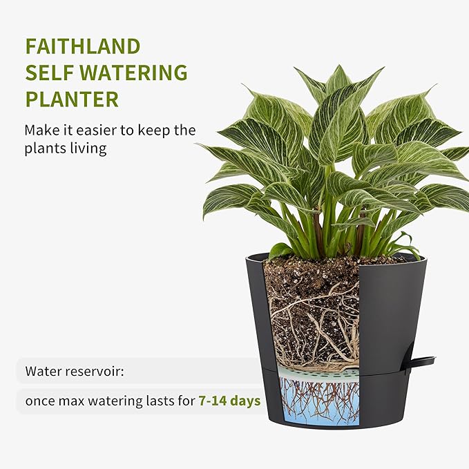 FaithLand 2-Pack 9 Inch Planter Pots for Indoor Outdoor Plants, Self Watering Flower Pots with Deep Reservoir, Black with Terracotta …