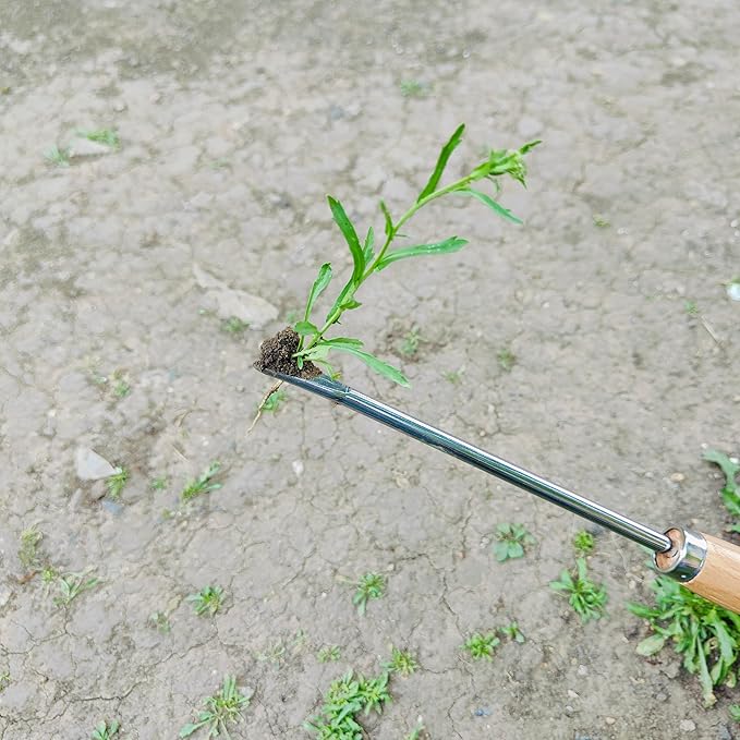 Gardening Tool, Weeder Tool Set Lightweight Easy to Use for Gardon & Patio (5pcs Garden Tool 01)