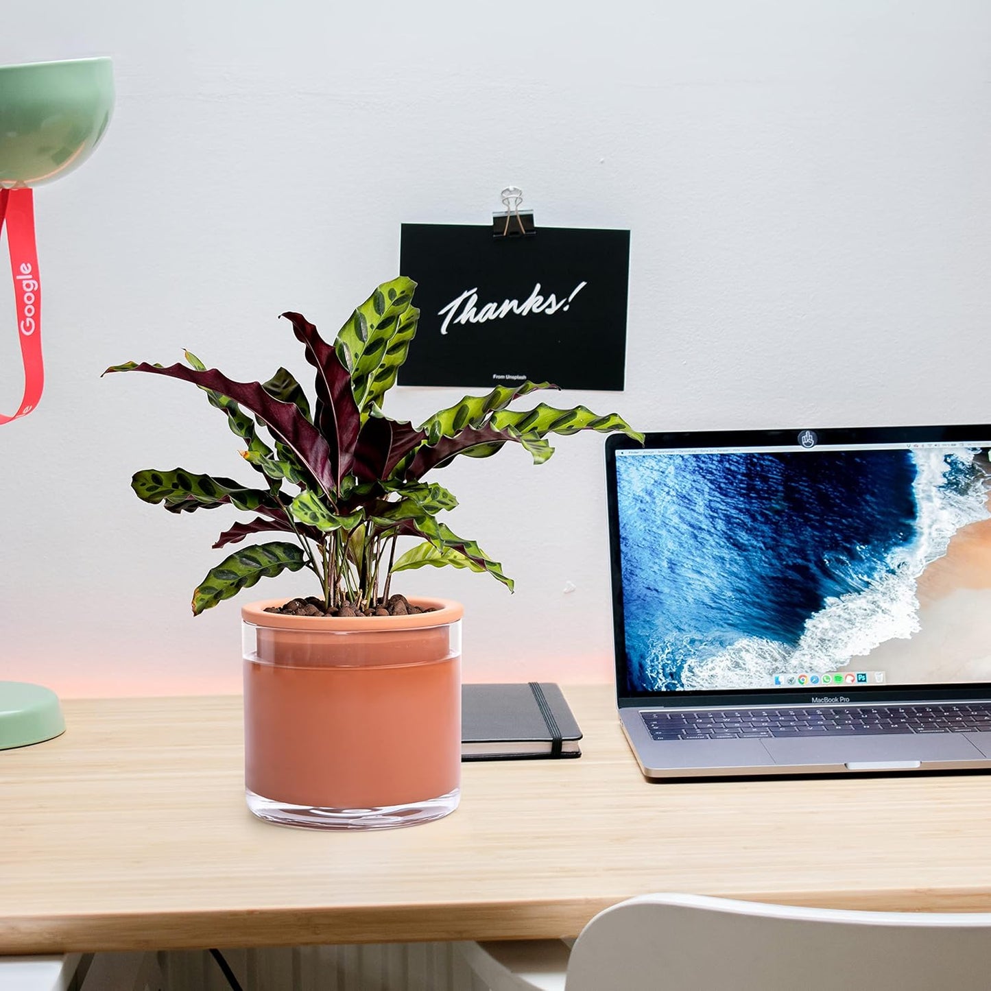 Phoenix Vine 6 Inch Self Watering Plants Pot, Design Terracotta Pot for Plants, Indoor Cylinder Terra Cotta Planter with Glass Vase, Set of 1, 51-A-F-1